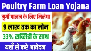 Poultry Farm Loan Yojana